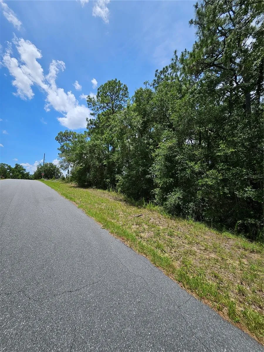 12350 S ELM POINT Floral City, FL 34436