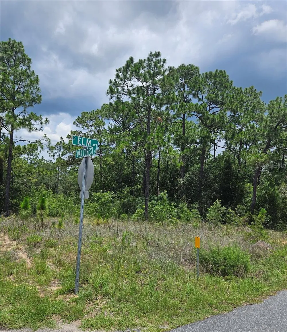 12350 S ELM POINT Floral City, FL 34436