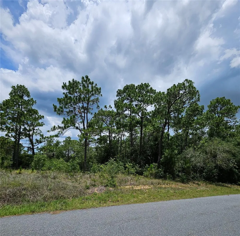 12350 S ELM POINT Floral City, FL 34436