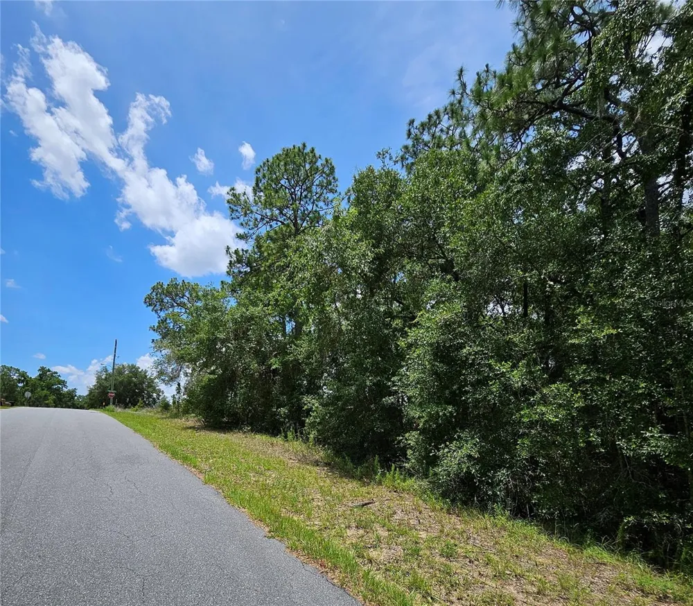 12350 S ELM POINT Floral City, FL 34436