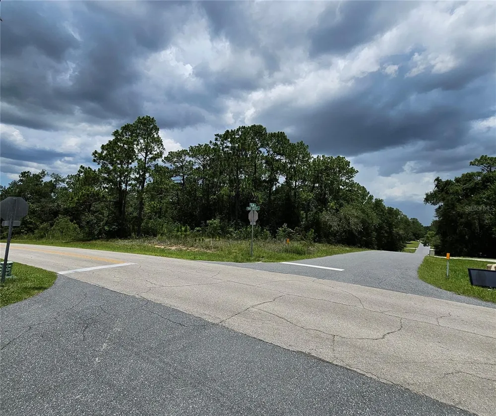 12350 S ELM POINT Floral City, FL 34436