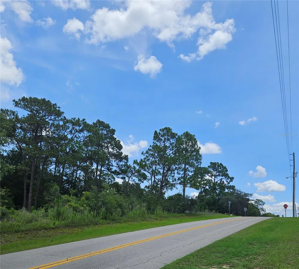 12350 S ELM POINT Floral City, FL 34436