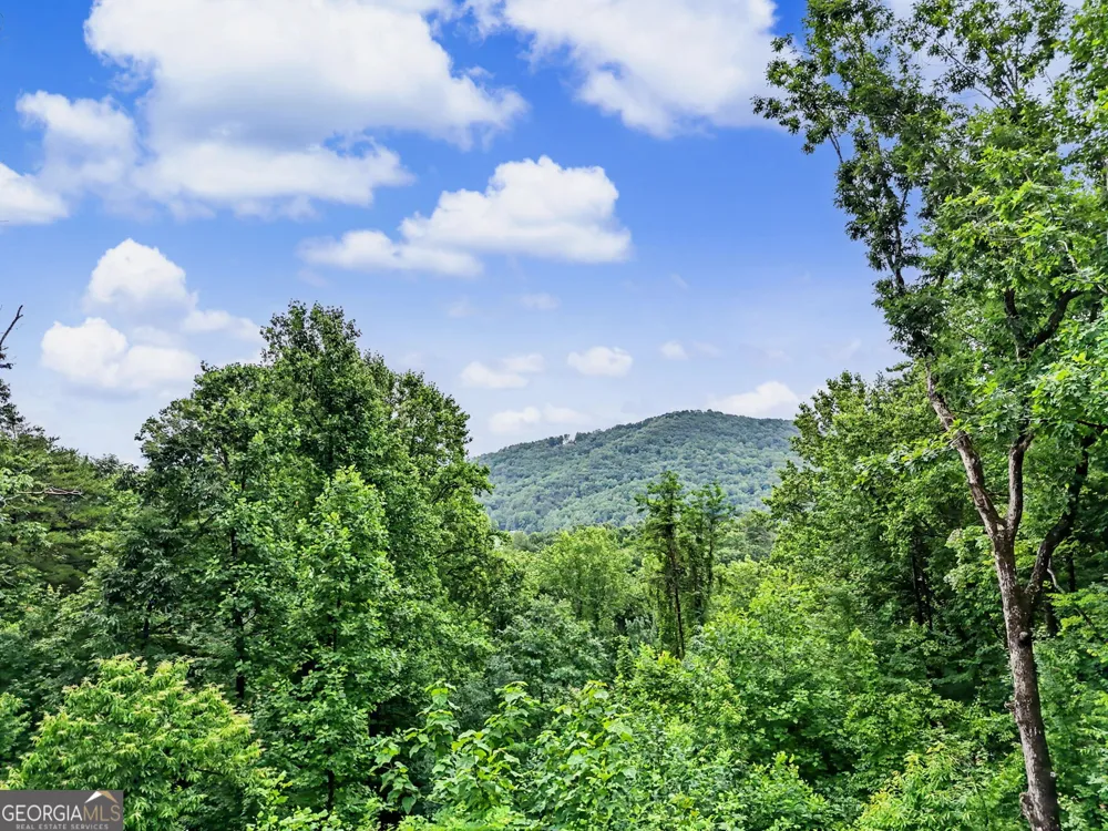 741 Autumn Ridge DR Clayton, GA 30525