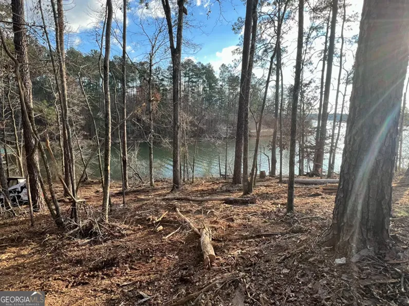 23 Post Oak Ridge Sparta, GA 31087