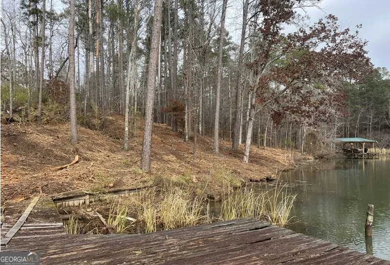 23 Post Oak Ridge Sparta, GA 31087