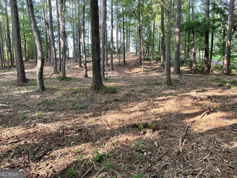 0 Winterberry Lane Rome, GA 30161