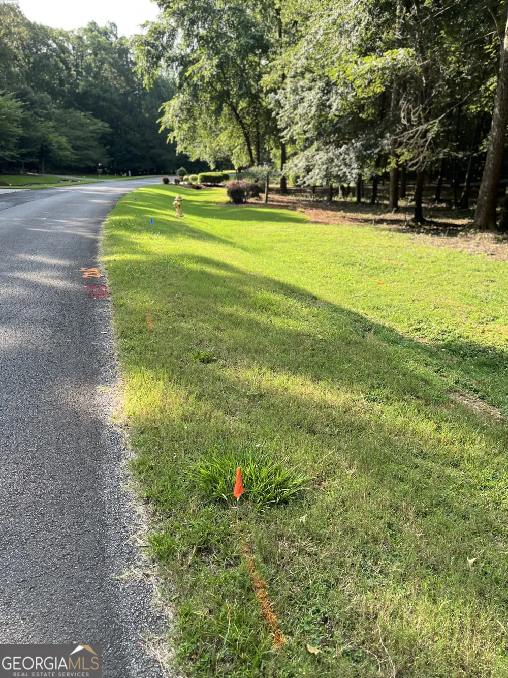 0 Winterberry Lane Rome, GA 30161
