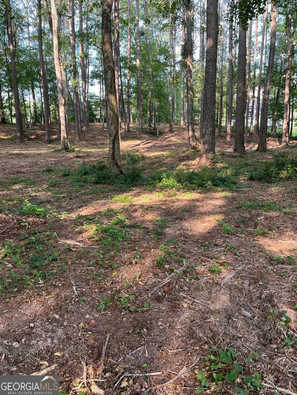 0 Winterberry Lane Rome, GA 30161