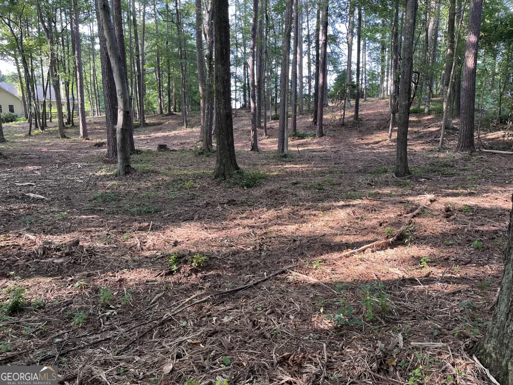 0 Winterberry Lane Rome, GA 30161