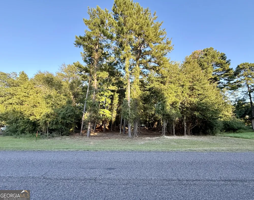 0 Friendship RD Sylvania, GA 30467