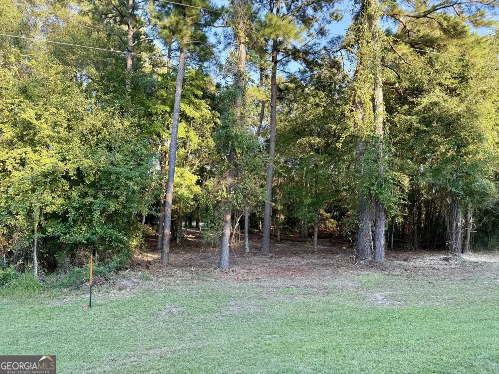 0 Friendship RD Sylvania, GA 30467