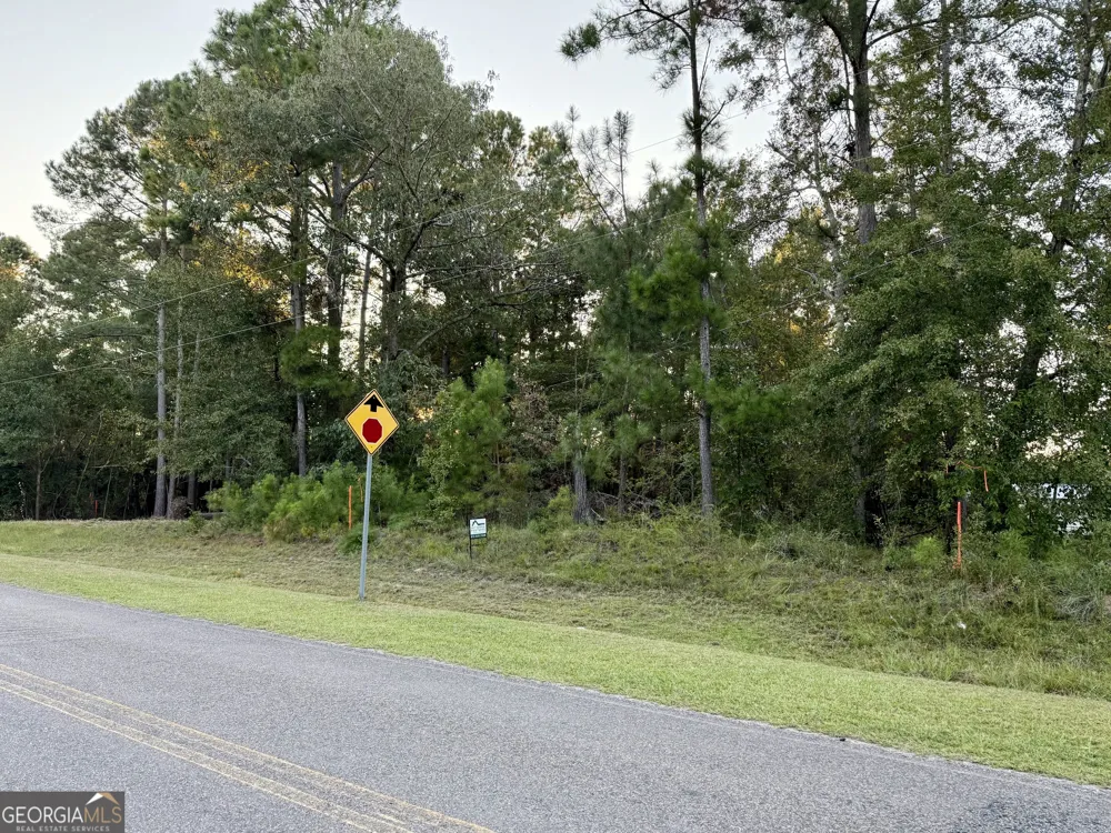 0 Friendship RD Sylvania, GA 30467