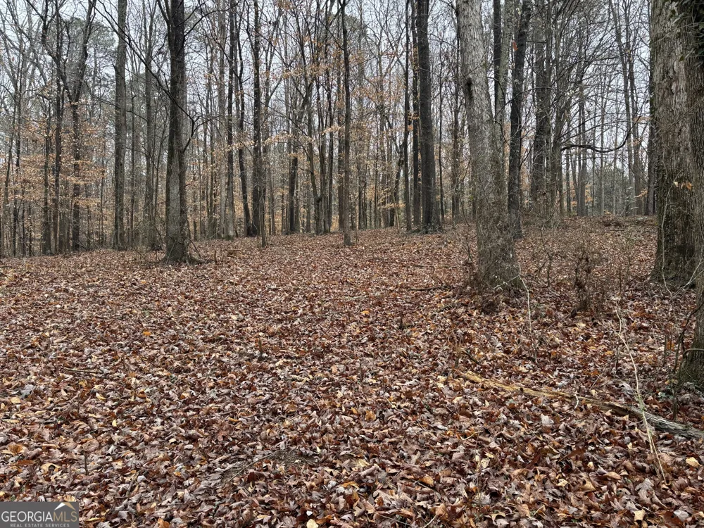 0 Lebanon Church RD Jefferson, GA 30549