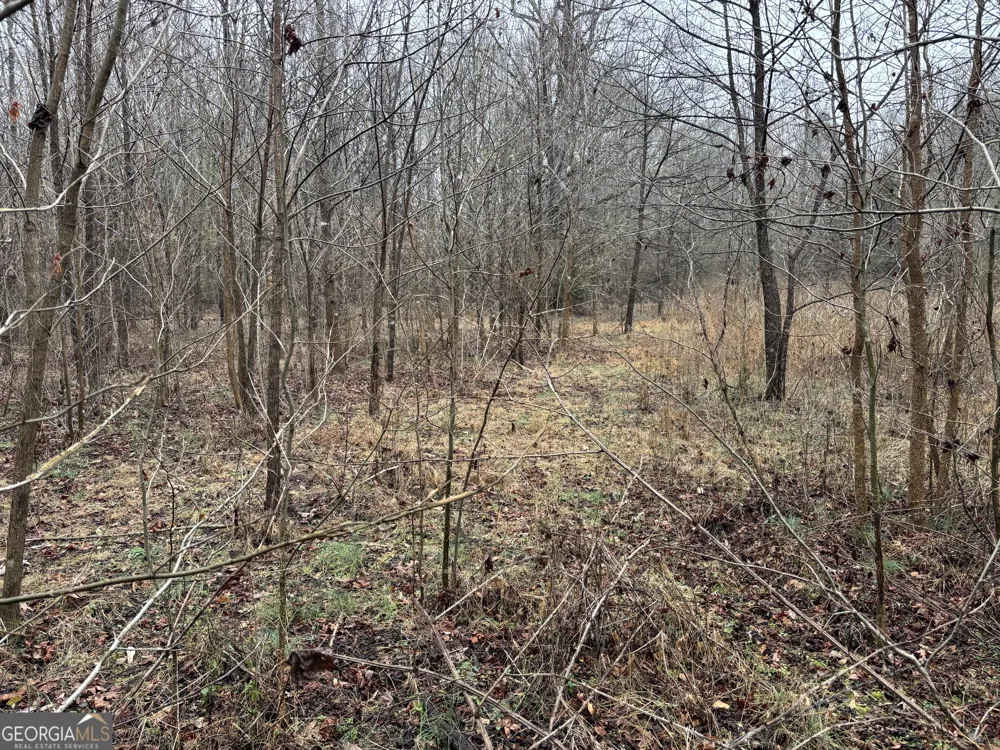 0 Lebanon Church RD Jefferson, GA 30549