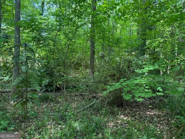 0 Owen CIR Sugar Hill, GA 30518