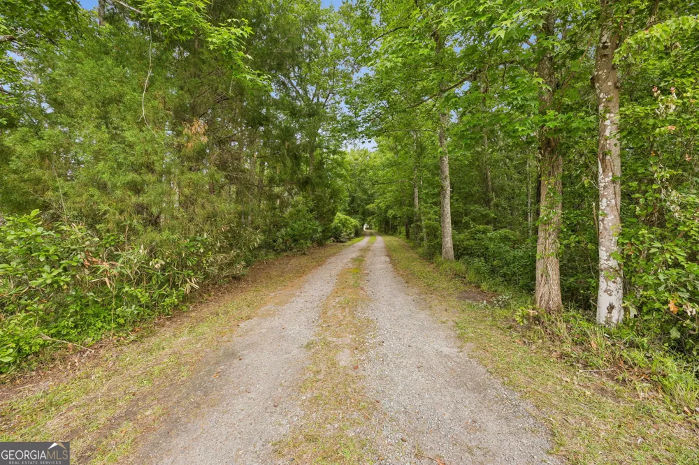 3198 Harrietts Bluff RD Woodbine, GA 31569