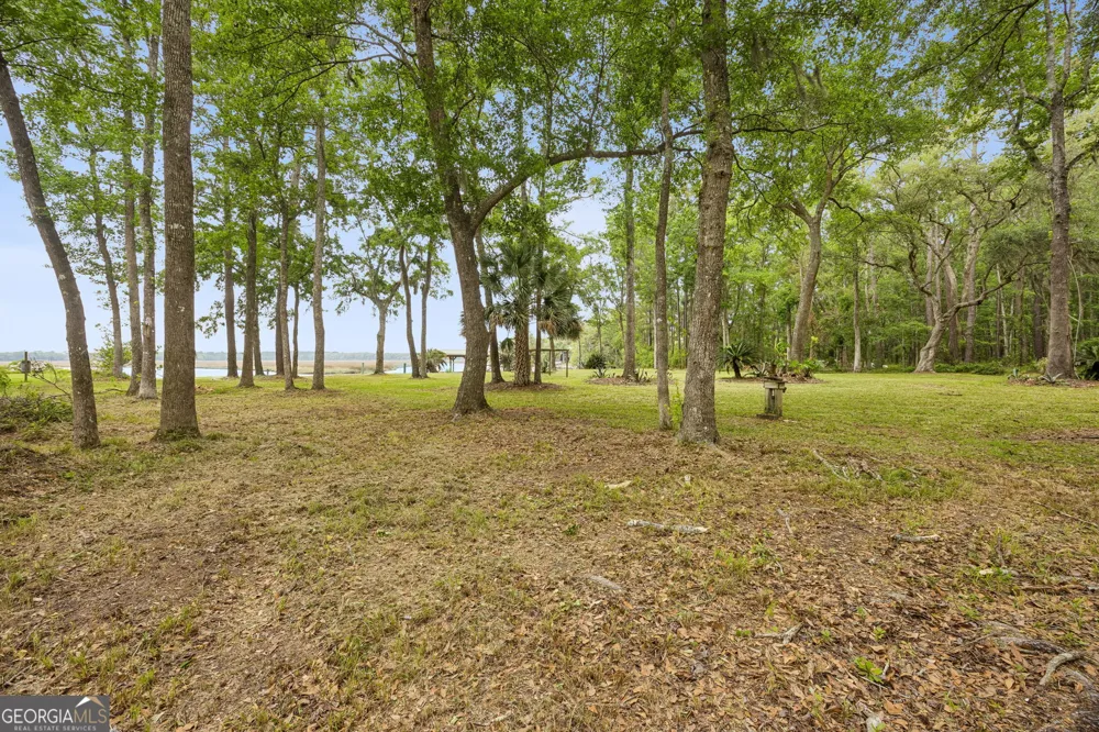 3198 Harrietts Bluff RD Woodbine, GA 31569