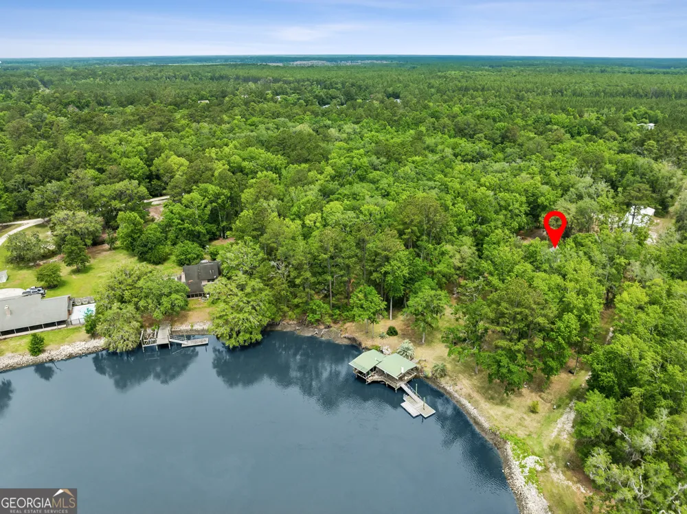 3198 Harrietts Bluff RD Woodbine, GA 31569