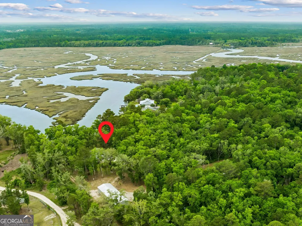 3198 Harrietts Bluff RD Woodbine, GA 31569