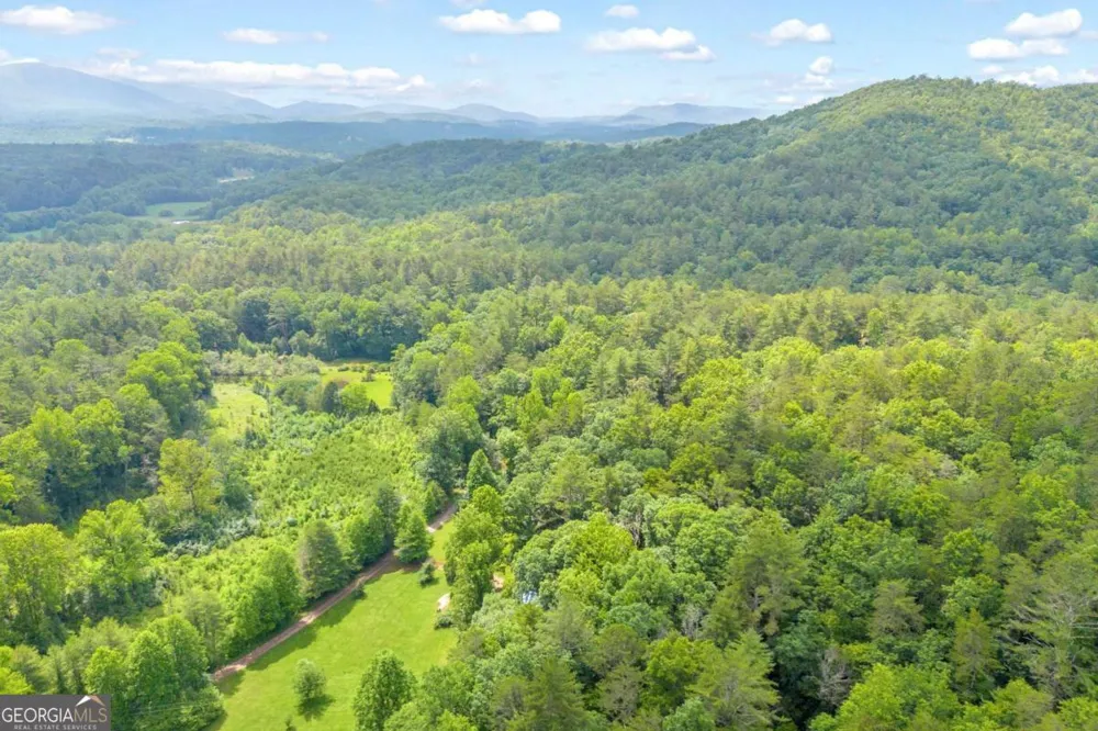 110 Wilderness End Clarkesville, GA 30523