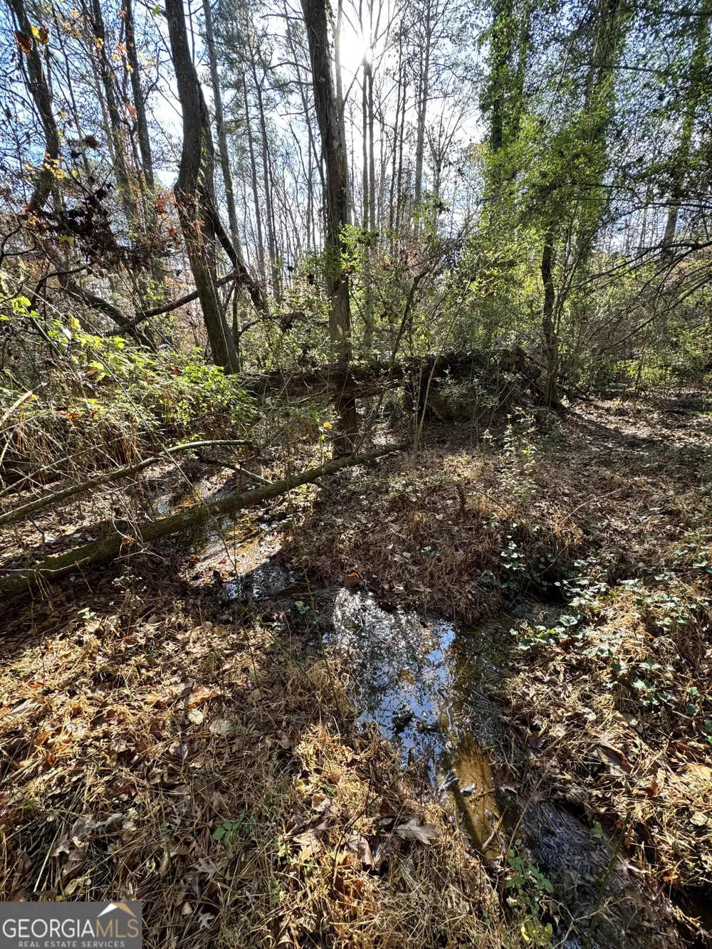 LOT 4 Miller ST Lithia Springs, GA 30122