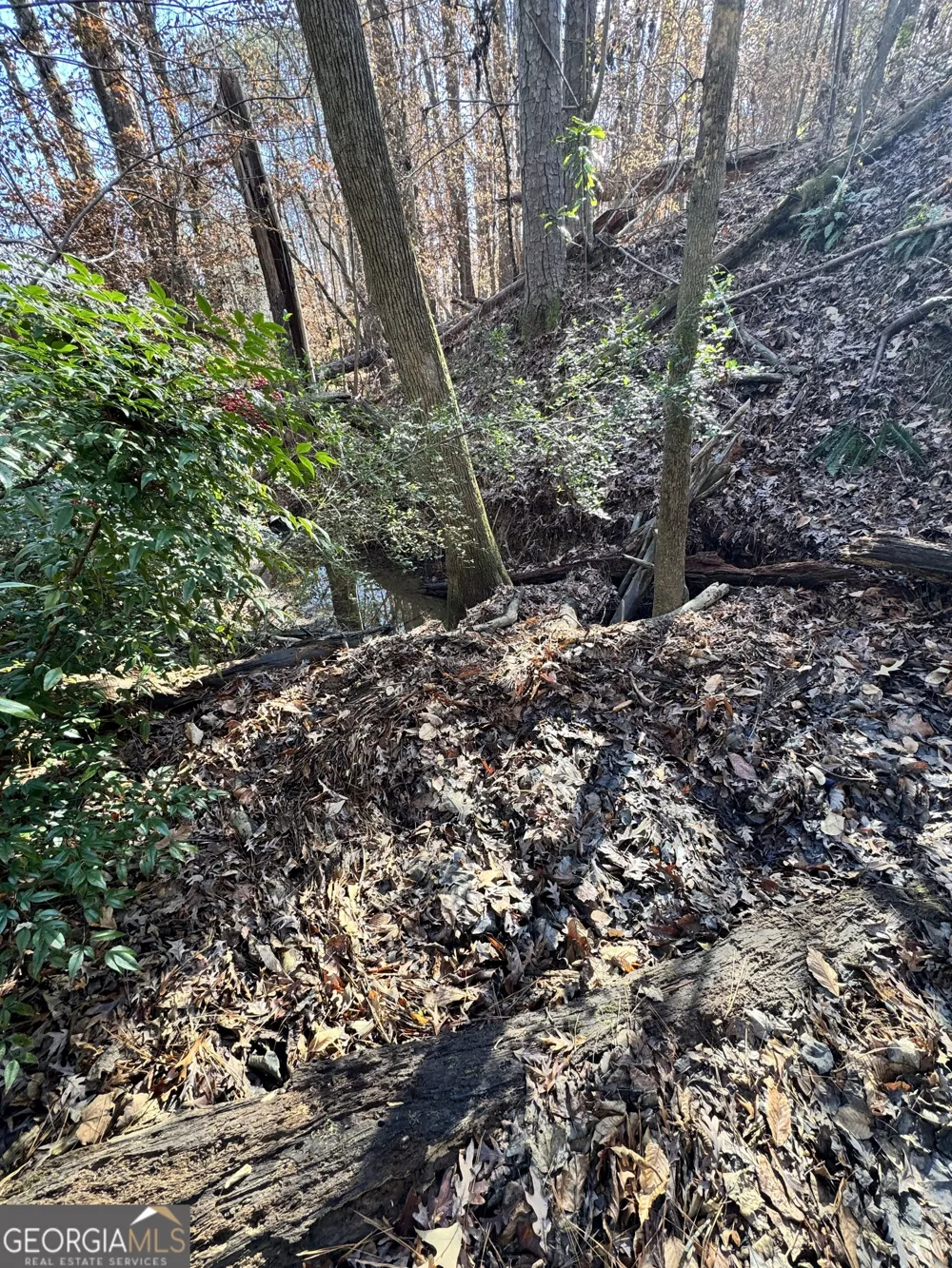 LOT 4 Miller ST Lithia Springs, GA 30122