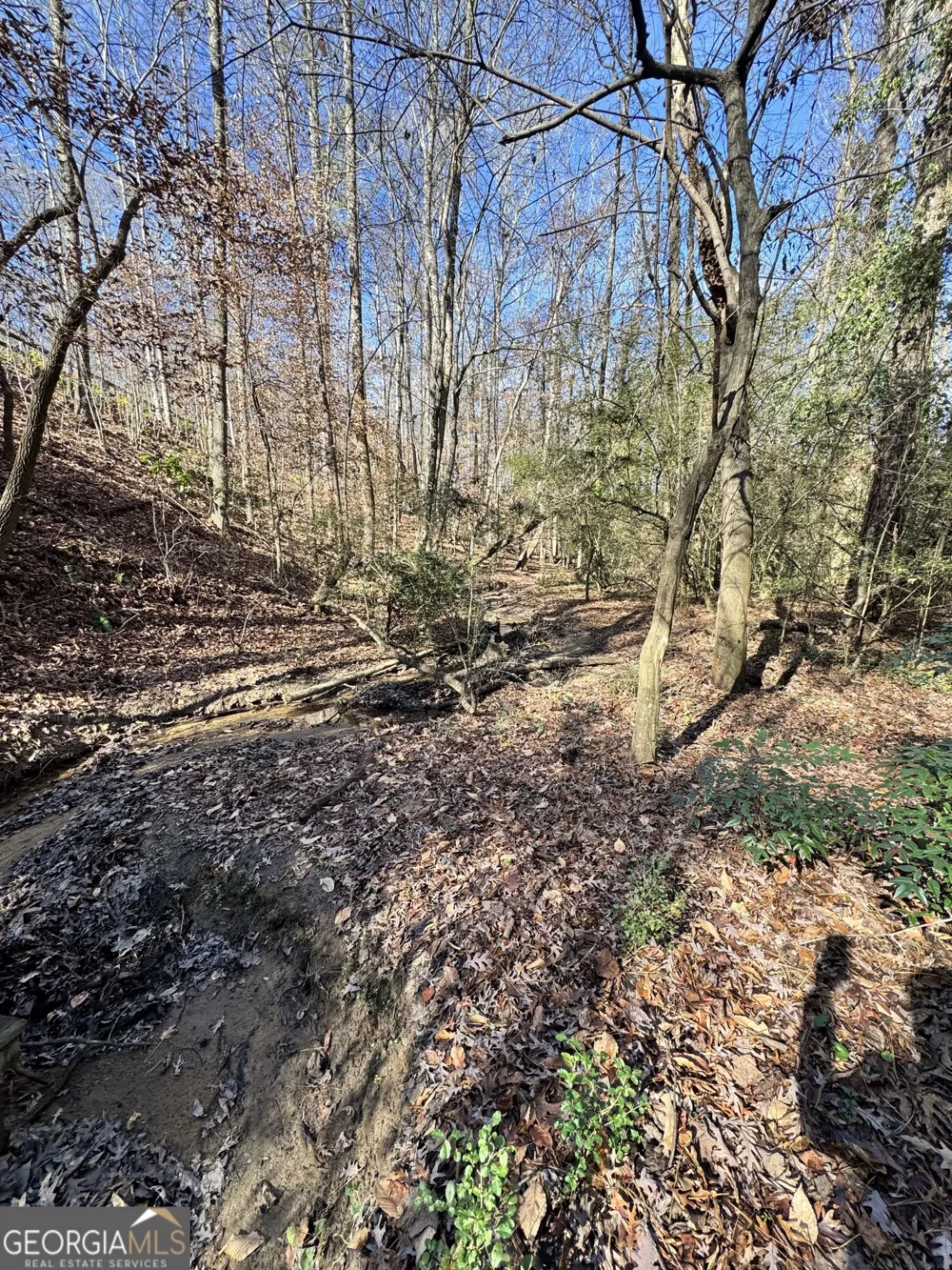 LOT 4 Miller ST Lithia Springs, GA 30122