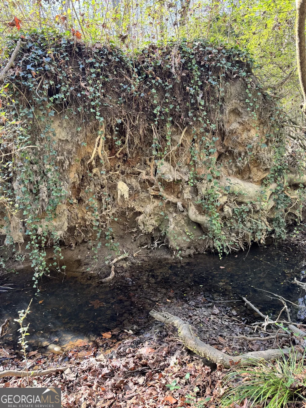 LOT 4 Miller ST Lithia Springs, GA 30122