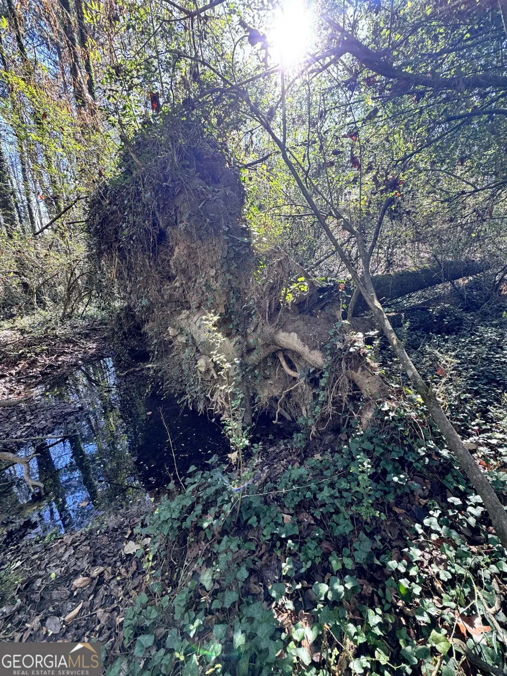 LOT 4 Miller ST Lithia Springs, GA 30122