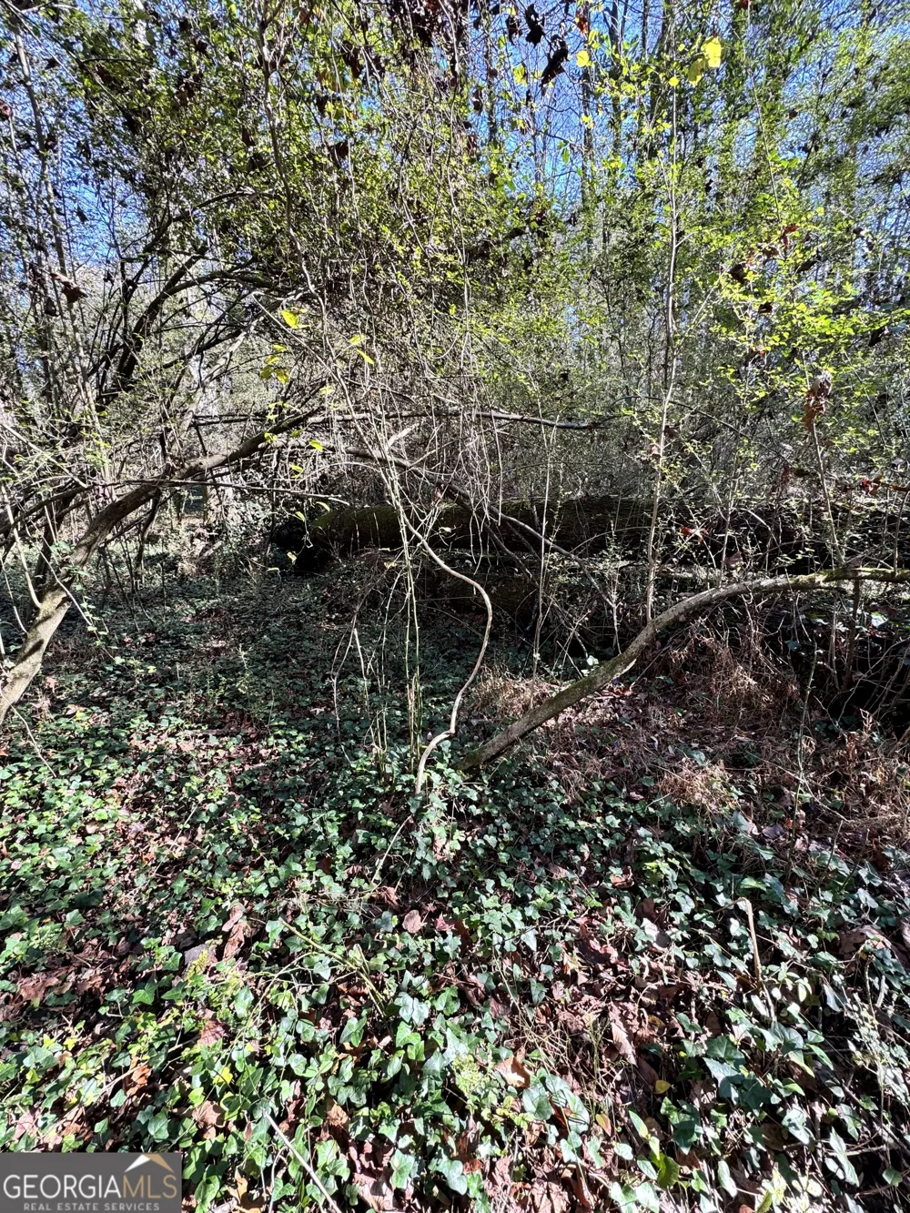 LOT 4 Miller ST Lithia Springs, GA 30122