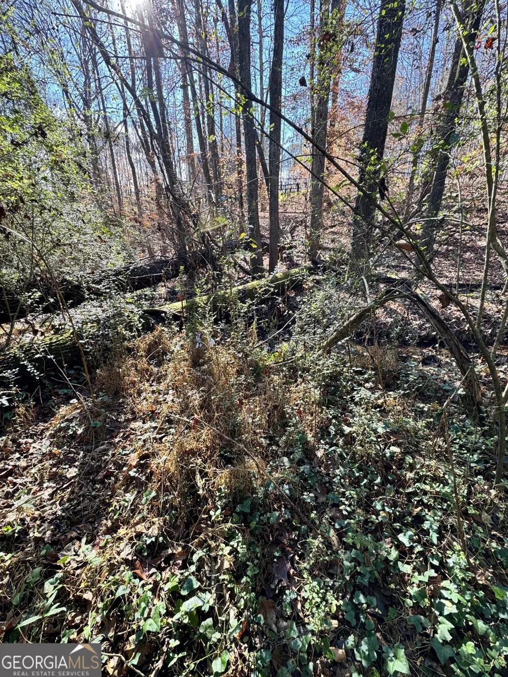 LOT 4 Miller ST Lithia Springs, GA 30122