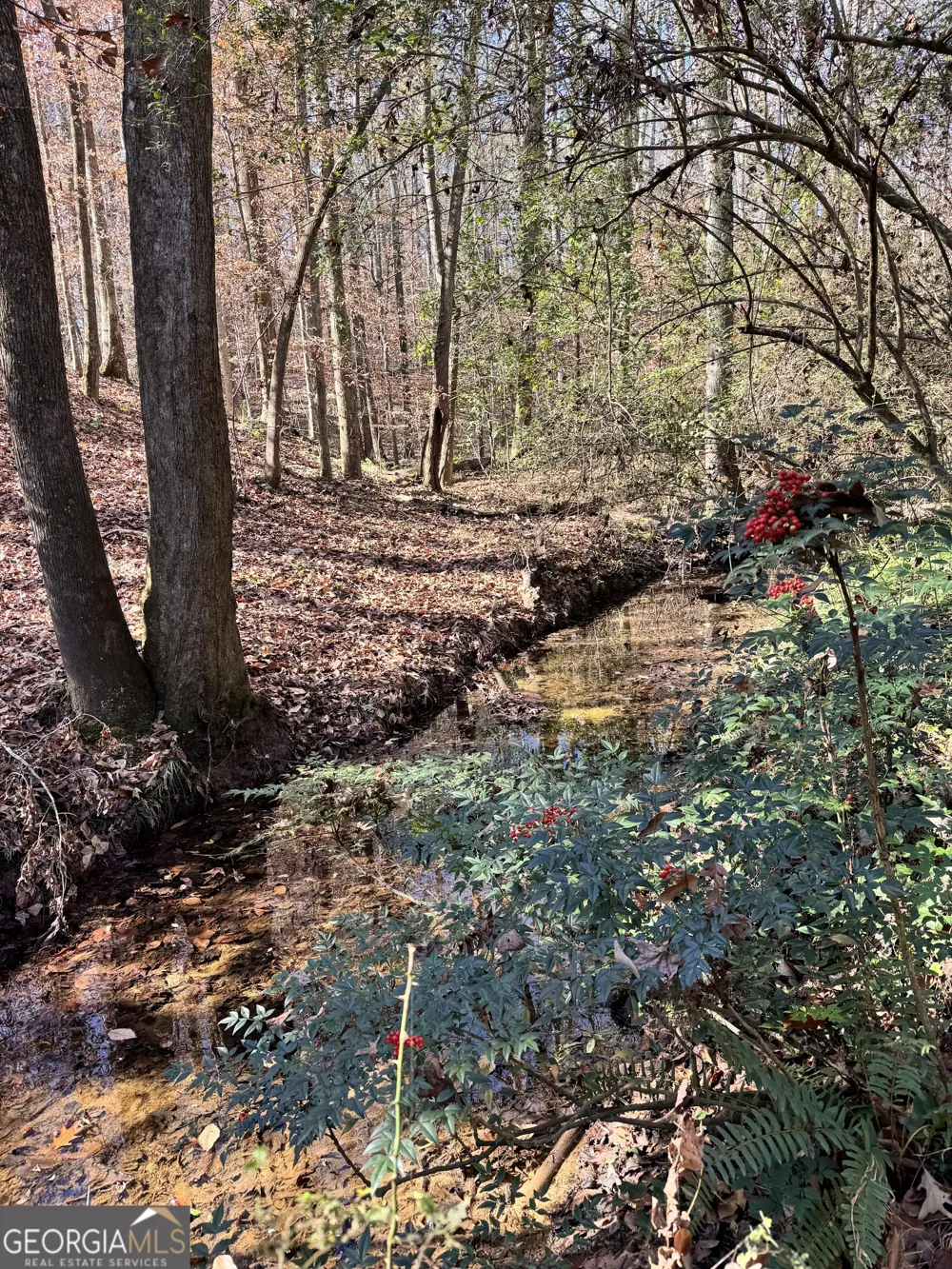 LOT 4 Miller ST Lithia Springs, GA 30122