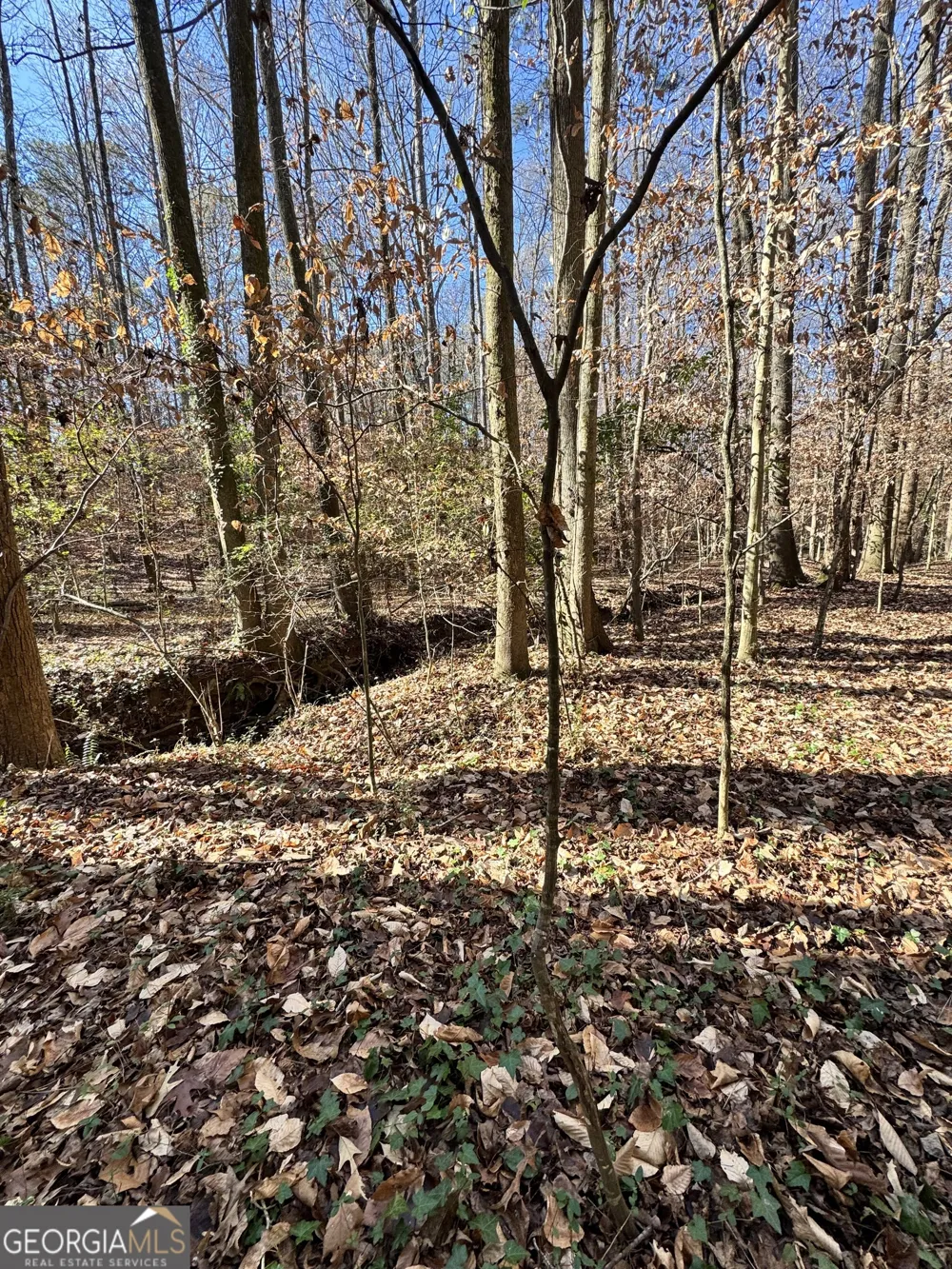 LOT 4 Miller ST Lithia Springs, GA 30122