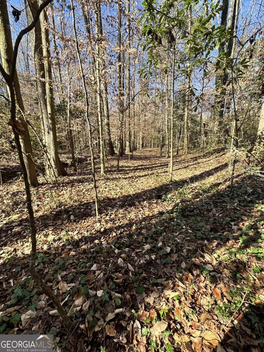 LOT 4 Miller ST Lithia Springs, GA 30122
