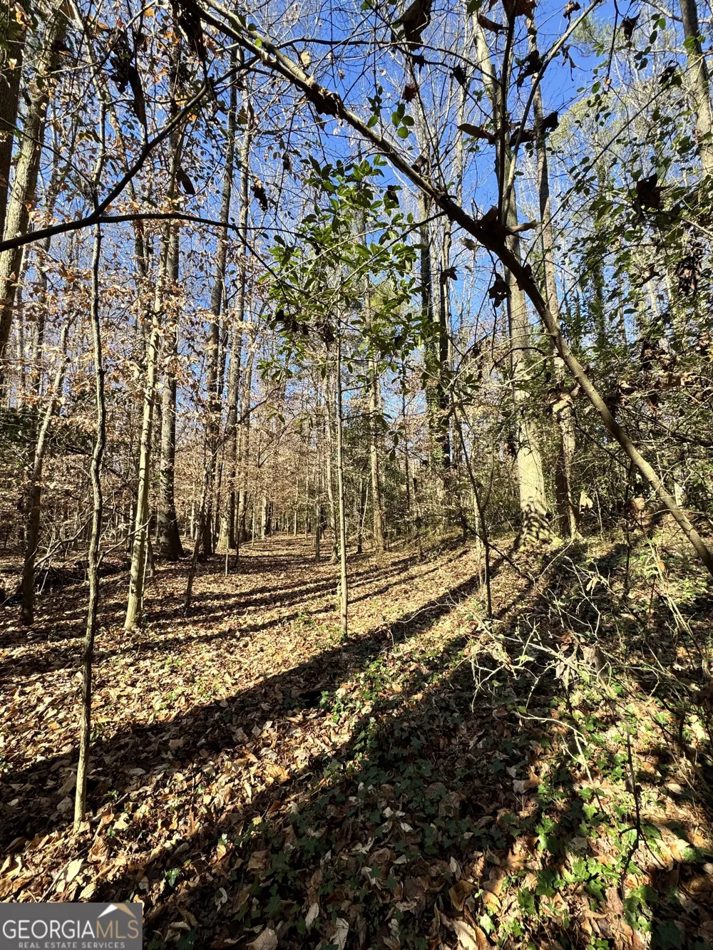 LOT 4 Miller ST Lithia Springs, GA 30122