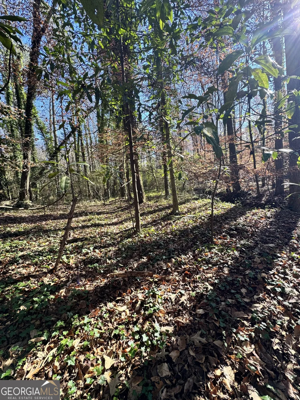 LOT 4 Miller ST Lithia Springs, GA 30122