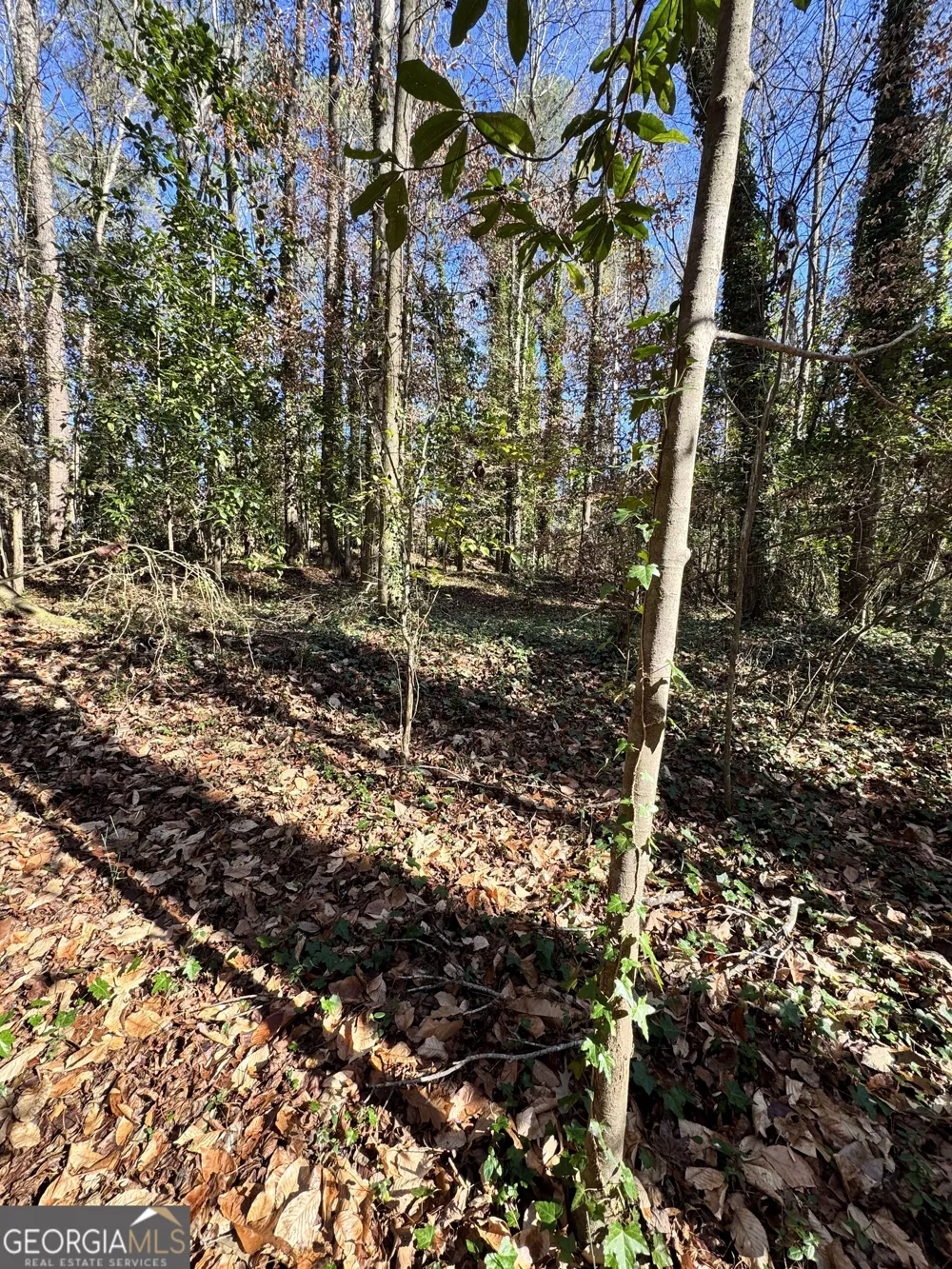 LOT 4 Miller ST Lithia Springs, GA 30122