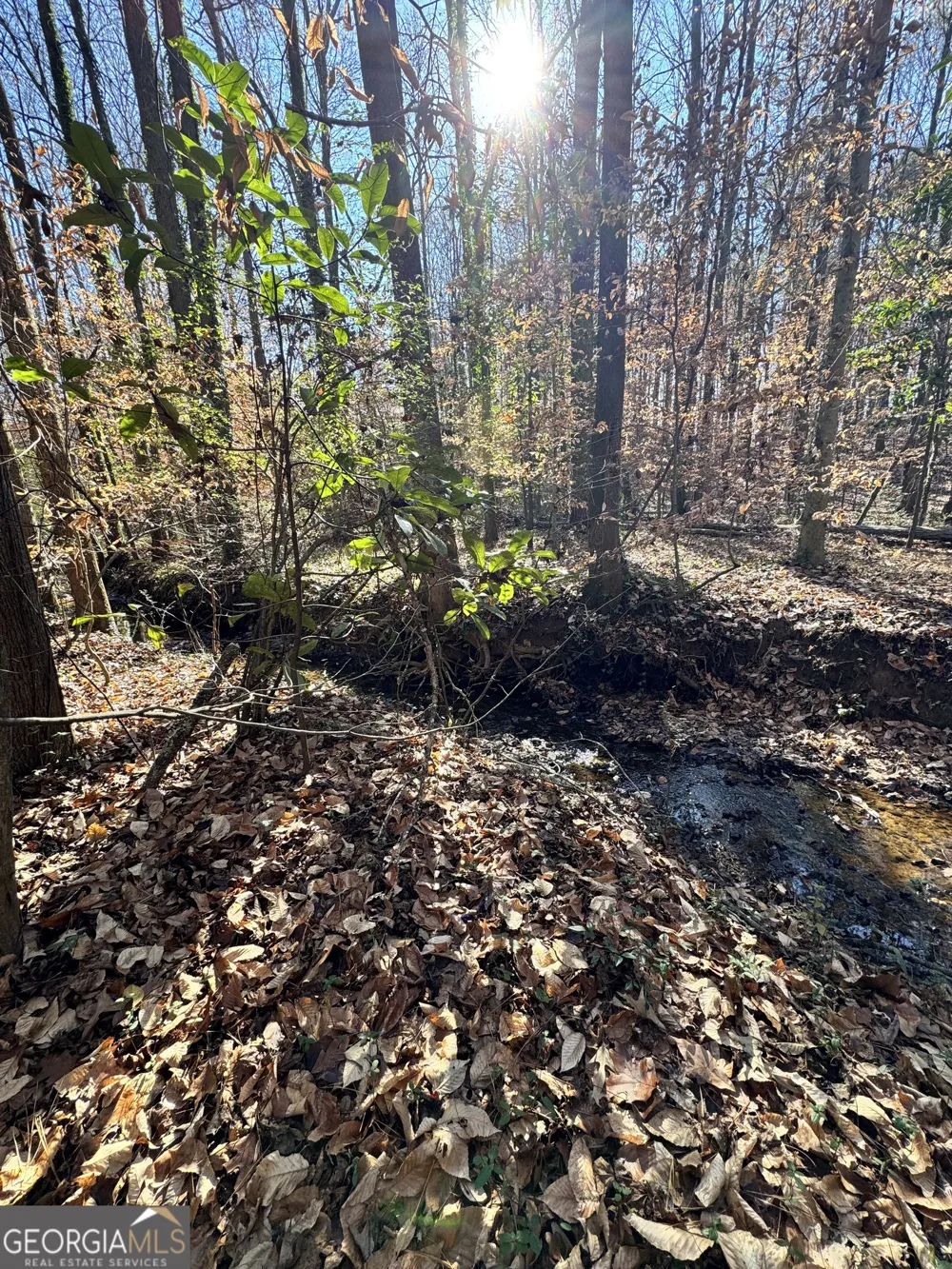 LOT 4 Miller ST Lithia Springs, GA 30122