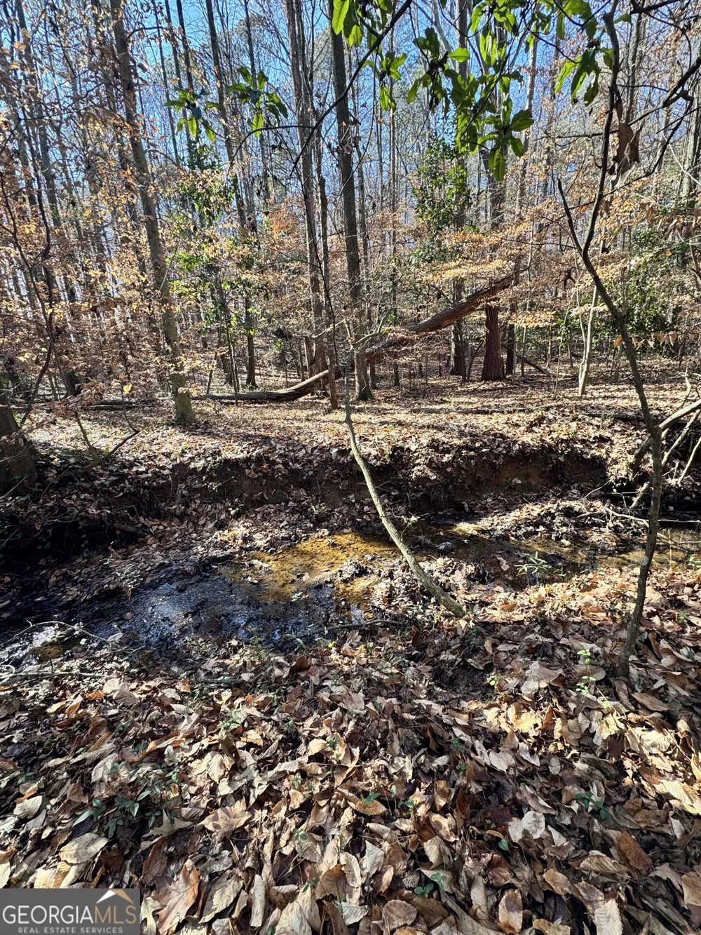 LOT 4 Miller ST Lithia Springs, GA 30122