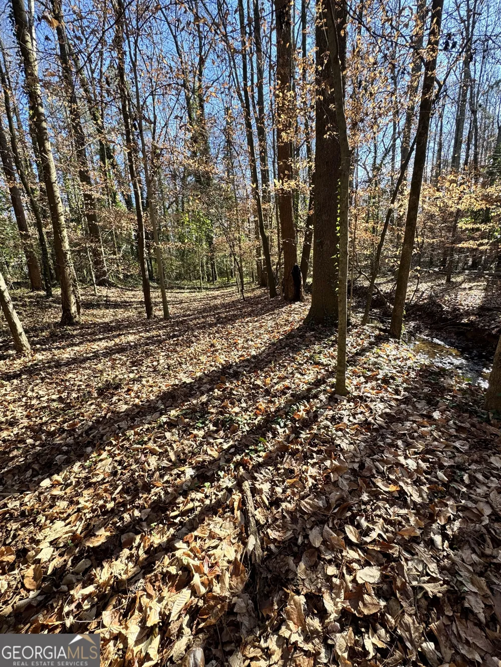 LOT 4 Miller ST Lithia Springs, GA 30122