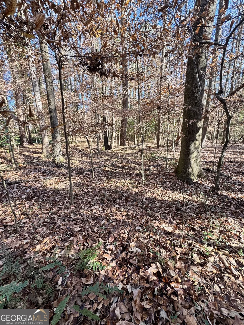 LOT 4 Miller ST Lithia Springs, GA 30122