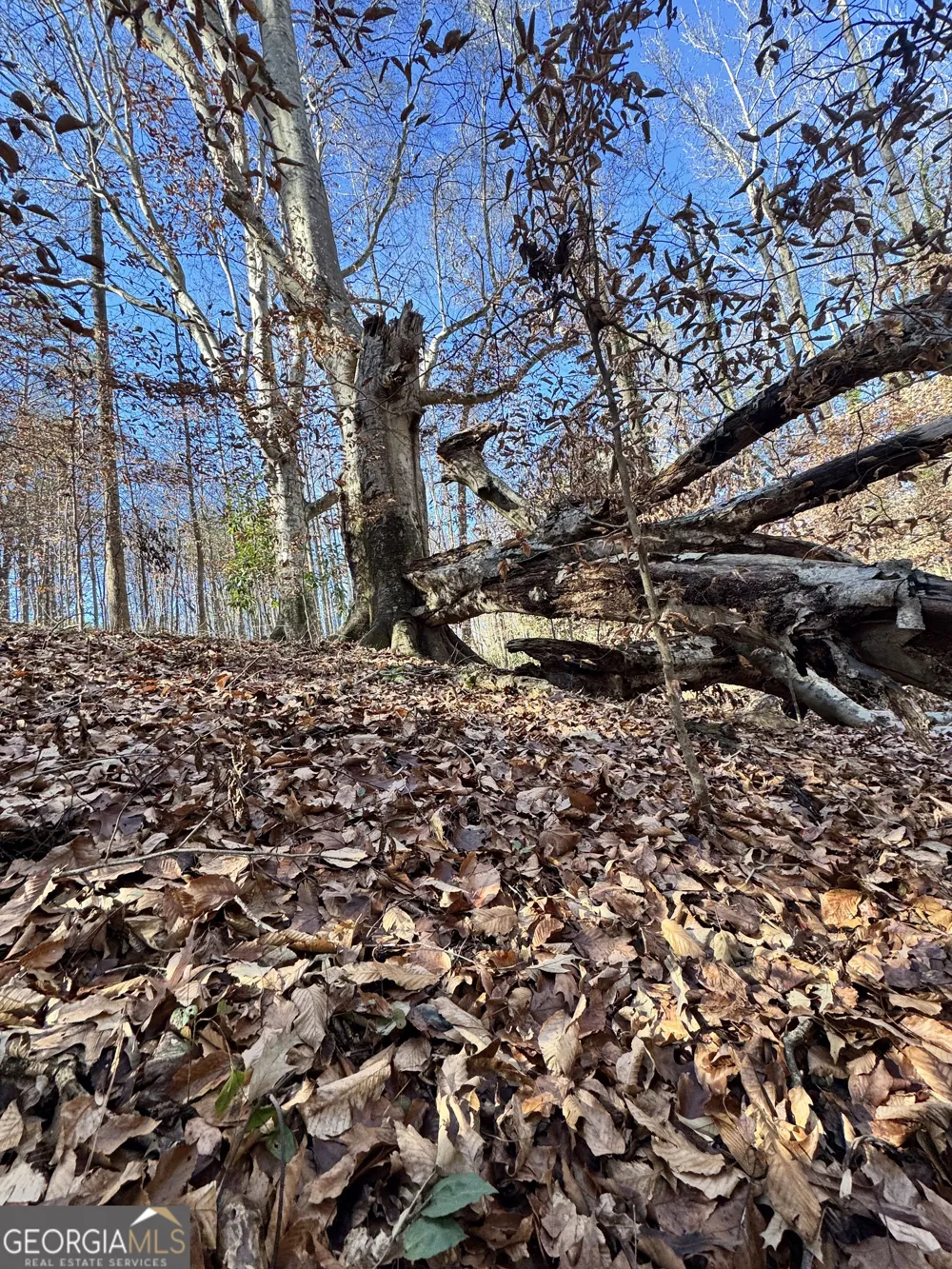 LOT 4 Miller ST Lithia Springs, GA 30122