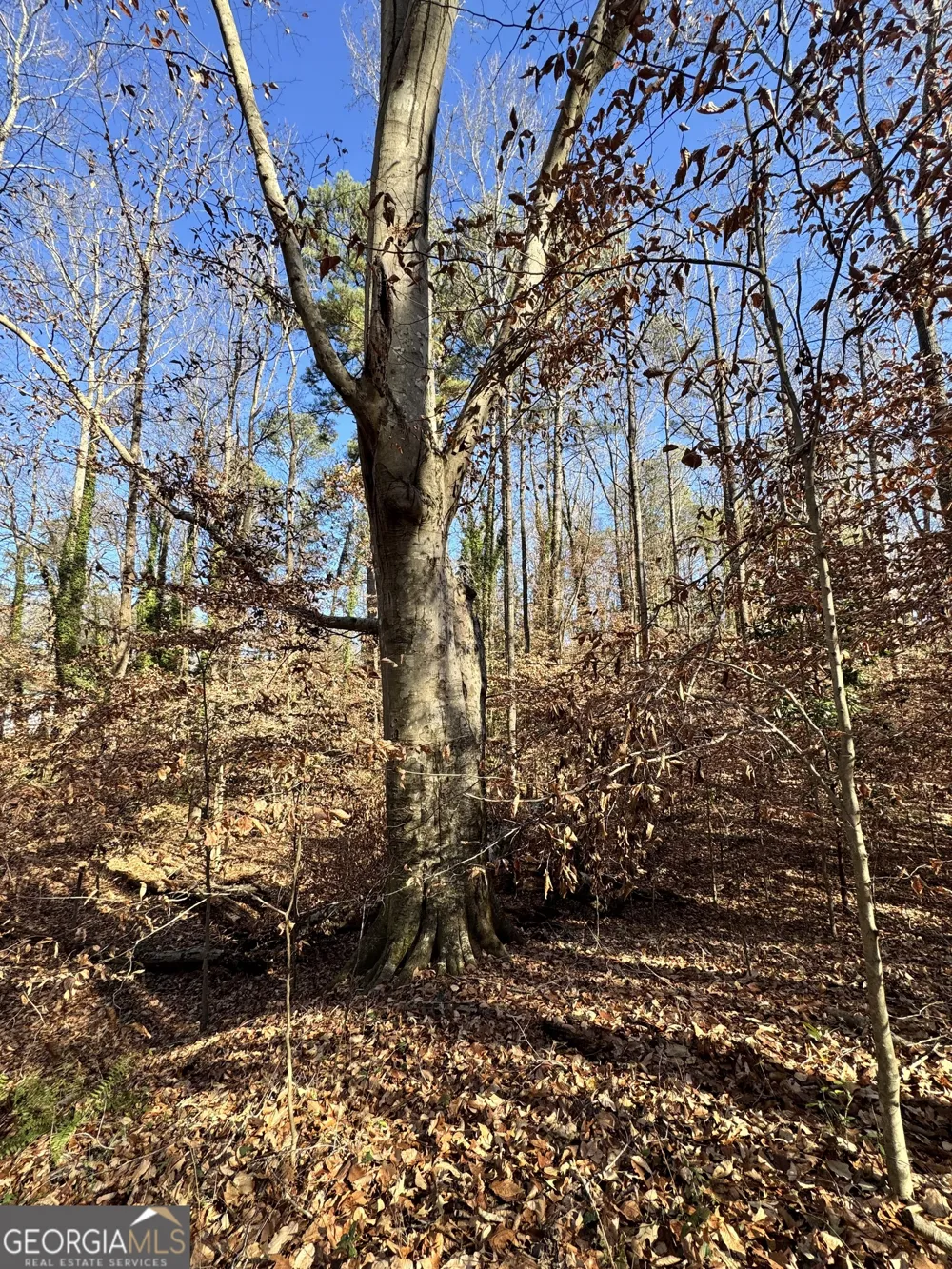 LOT 4 Miller ST Lithia Springs, GA 30122