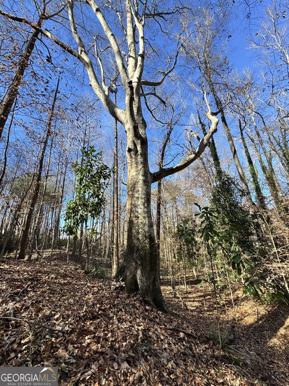 LOT 4 Miller ST Lithia Springs, GA 30122