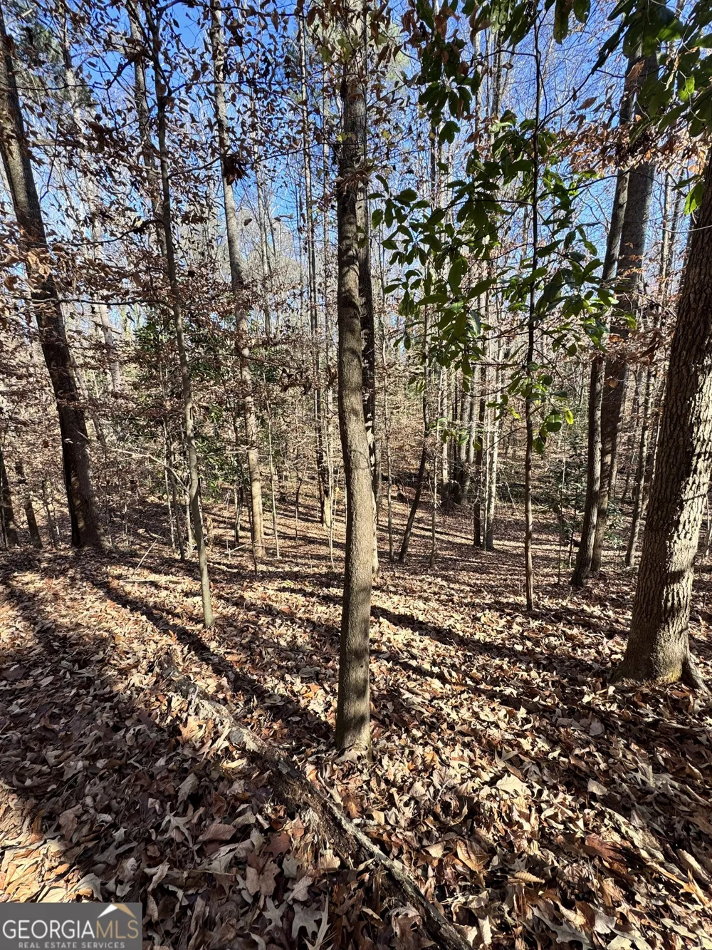LOT 4 Miller ST Lithia Springs, GA 30122