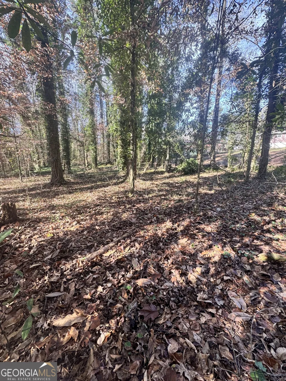 LOT 4 Miller ST Lithia Springs, GA 30122