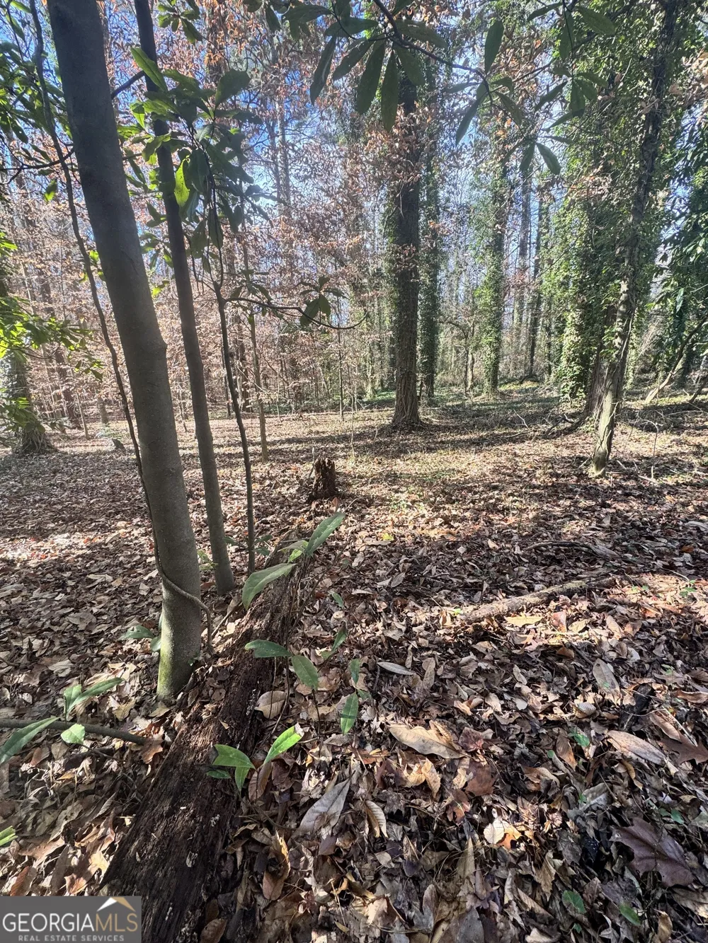 LOT 4 Miller ST Lithia Springs, GA 30122