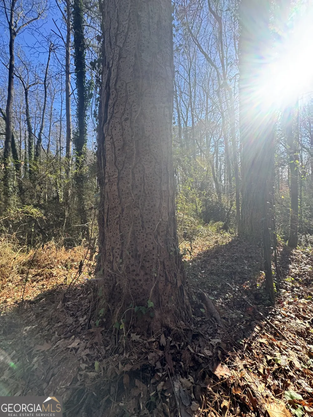 LOT 4 Miller ST Lithia Springs, GA 30122