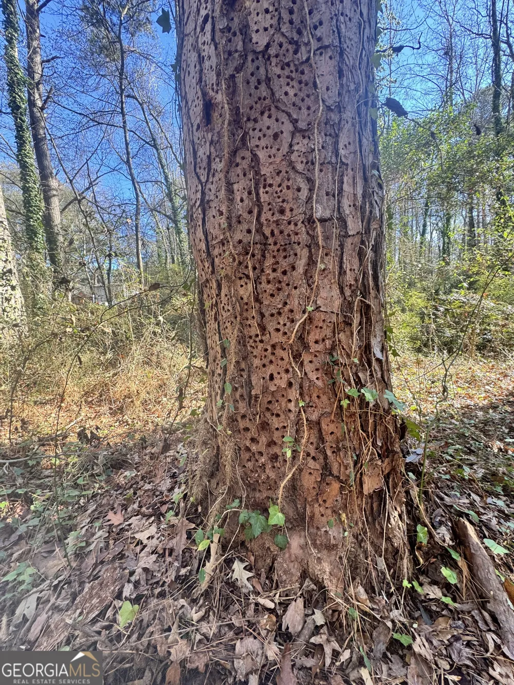 LOT 4 Miller ST Lithia Springs, GA 30122