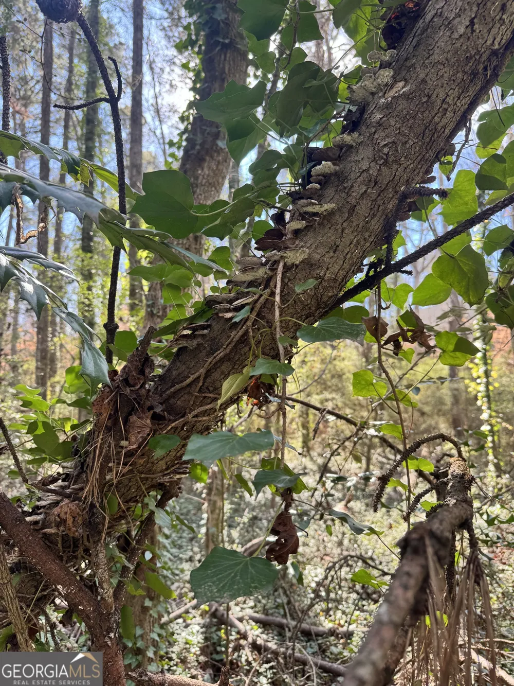LOT 4 Miller ST Lithia Springs, GA 30122